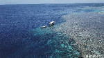 Foto Drone: Wakatobi Mencuri Hati