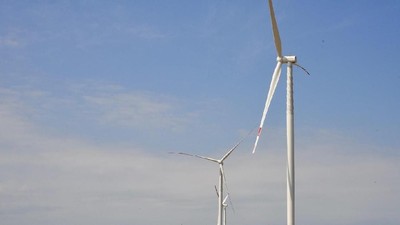 Indonesia Punya Kebun Angin Lagi, Ini Penampakannya