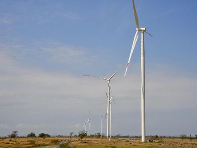 Indonesia Punya Kebun Angin Lagi, Ini Penampakannya