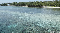 Memotret Wakatobi pakai drone, juara! (Zaky Fauzi Azhar/detikTravel)