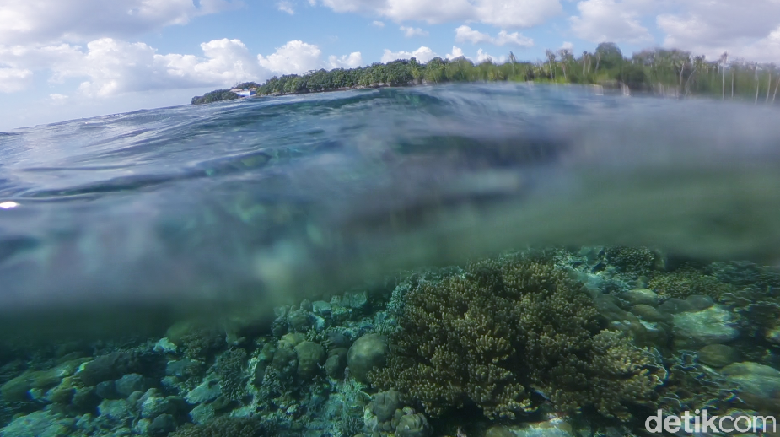 Inilah Wakatobi Salah Satu Bali Baru