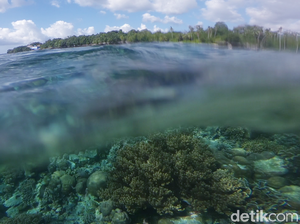 Inilah Wakatobi, Salah Satu Bali Baru