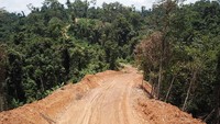 Jalan di perbatasan Kalimantan menyambung konektivitas antar daerah di perbatasan sehingga keterisolasian dapat diatasi. Istimewa/ Dok. Ditjen Bina Marga.