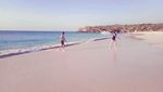 Potret Pantai Pink yang Menggoda di Lombok Timur