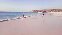 Coral yang berwarna kemerahan terkikis gelombang di dalam laut dan bercampur dengan pasir, sehingga membuat warnanya tampak kemerah-merahan. Bias warna pink yang indah itu menjadikan pantai ini cukup memikat hati untuk segera dikunjungi (Randi Boat/istimewa)  