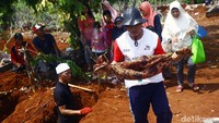 Petugas makam bersama keluarga memindahkan jenazah dari TPU Kumpi Saribah, Kelurahan Grogol, Limo, Depok, Jawa Barat, Sabtu (22/9/2018).
