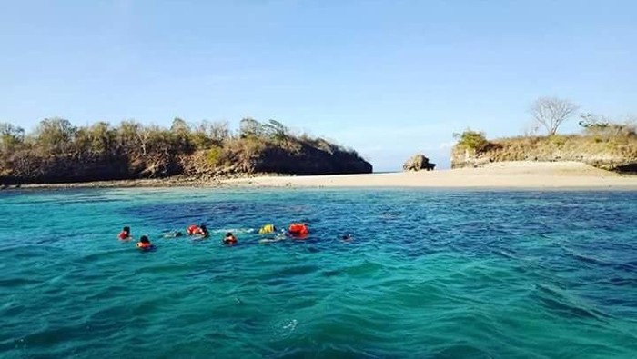 bawah laut pantai pink