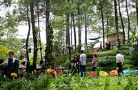 Sejuk Pisan! 5 Restoran di Bandung Ini Punya Konsep Menyatu dengan Alam 