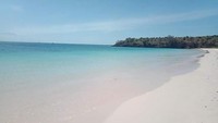 Para wisatawan domestik dan mancanegara menamakannya pantai Pink. Nama itu diambil bisa jadi karena melihat pantulan pasirnya yang berwarna pink ketika diterpa bias sinar matahari yang berpendar masuk di tengah laut (Randi Boat/istimewa)  