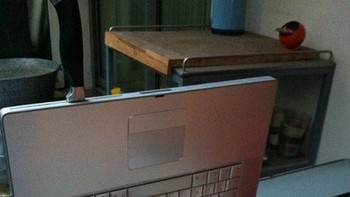 Jangan buang laptop yang sudah rusak! karena bisa dijadikan peralatan dapur. (Foto: Brightside)