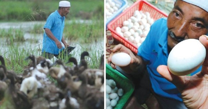 Foto: Istimewa Foto: Istimewa