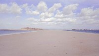 Beraneka ragam biota laut masih dapat ditemukan di kawasan pantai Pink. Selain berbagai jenis ikan warna-warni, terdapat juga beberapa koral dan bintang laut (Randi Boat/istimewa)  