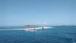 Potret Pantai Pink yang Menggoda di Lombok Timur