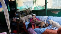 Maria Guadalupe Padilla beristirahat dengan anjing-anjingnya di tenda dekat rumah susunnya. Reuters/Henry Romero.