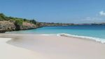 Potret Pantai Pink yang Menggoda di Lombok Timur
