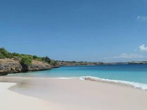 Potret Pantai Pink yang Menggoda di Lombok Timur