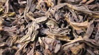 Harga Teh Da-Hong Pao US$ 1,2 juta (Rp 17,4 miliar) per kilogram atau setara mobil mewah belasan miliar rupiah, seperti Ferrari. Alasannya? teh jenis ini berasal dari Dinasti Ming dan telah dinyatakan sebagai harta nasional oleh pemerintah China. Istimewa/financesonline.com