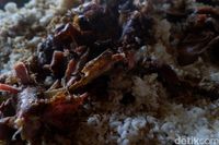 Nikmatnya Menyantap Bucu Pendem, Sajian Unik dari Desa Kumejing