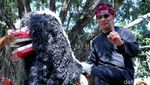 Momen Ridwan Kamil Kampanyekan Jokowi-Amin Bersama Seniman