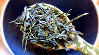 Harga Gyokuro Tea US$ 650 (Rp 9,4 juta) per kilo. Daun teh Gyokuro dibudidayakan di distrik Uji. Istimewa/financesonline.com