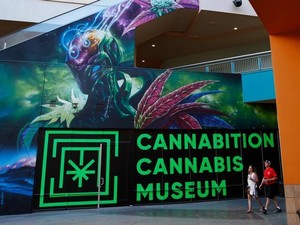 Museum Ganja Las Vegas Tampilkan Bong Tertinggi di Dunia