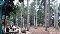 Meskipun begitu, masih banyak warga dan pengunjung yang datang ke Taman Kota 1 BSD (Shinta/detikTravel)