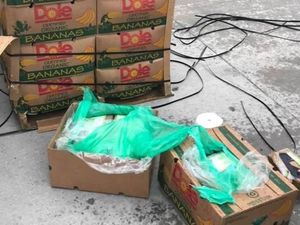 Paket Kokain Rp 263 M Disembunyikan di Kotak Pisang Disita di AS