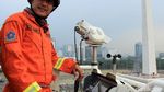 Foto: Cara Baru Melihat Monas dari Ketinggian 84 Meter