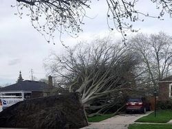Potret Viral Kesialan Tak Terduga, Miris dan Kocak