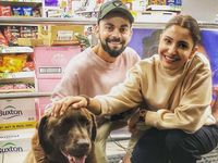 Kisah Cinta Virat Kohli dan Anushka Sharma dalam Gambar