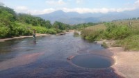 Air sungai sendiri akan terasa sangat sejuk di tengah terik matahari. Sehingga tempat ini menjadi wisata yang asyik dilakukan saat siang hari. (Traveloka)