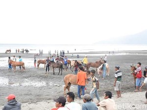 Ayo ke Dompu! Ada Pacuan Kuda Pantai yang Seru