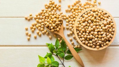 4 Makanan untuk Memperkuat Tulang Anak Selain Susu 4 Makanan untuk Memperkuat Tulang Anak Selain Susu