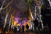 (Tourism Western Australia)