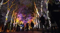 Perth Festival 2019 menghadirkan jajaran penampilan teater, musik, film, seni visual, seni jalanan, sastra, dan acara komunitas gratis (Tourism Western Australia)