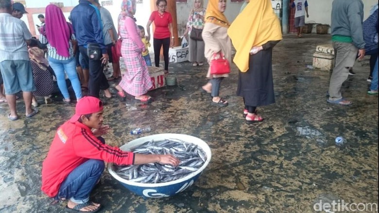 Nelayan Palabuhanratu Panen Ikan Lisong, Pembeli Menyemut Nelayan Palabuhanratu Panen Ikan Lisong, Pembeli Menyemut
