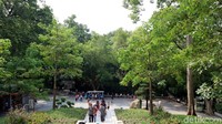 Traveler turun saja di Yuexiu Park Station atau jika naik bus, kamu bisa turun di Yuexiu Gongyuan atau di Yuexiu Gongyuan Beimen. Suasana sejuk, rindang, dan asri akan terasa bila sampai di taman ini. (Andini/detikTravel)