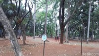 Rumput-rumput sudah tidak terlihat sebanyak dulu. Padahal, ini jadi salah satu ruang terbuka hijau di kawasan Jabodatebek (Shinta/detikTravel)