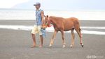 Foto: Pacuan Kuda Seru di Pantai Dompu