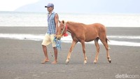 Yuk, main ke Kabupaten Dompu. (Faruk Nickyrawi/detikTravel)