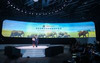 Menjelajahi Masa Depan Dunia Digital Alibaba 