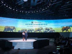 Teknologi Canggih Lindungi Gajah Adopsi Jack Ma