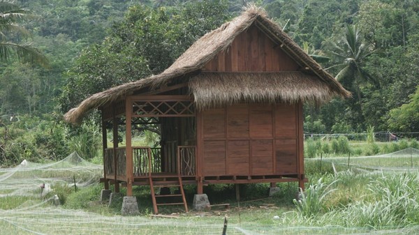 Lokasi rumah tradisional ini ada di Kampung Ekowisata Kerujuk, Dusun Kerujuk, Desa Pemenang Barat, Kecamatan Pemenang, Kabupaten Lombok Utara. Tempatnya asri, berada di tengah sawah, hawa dan suasana kampungnya masih hijau dan segar (John/Istimewa)