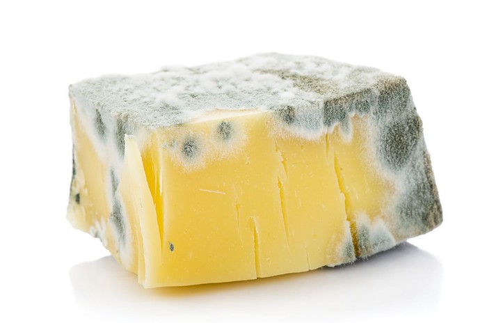 Foto: Istock Foto: Istock