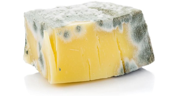Moldy loaf of bread, dirt, germs, mildew and mess