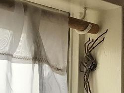 Potret Viral Kesialan Tak Terduga, Miris dan Kocak