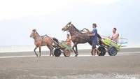Pacuan kuda pantai resmi dibuka pada Minggu sore, dan akan berlangsung hingga Kamis mendatang. (Faruk Nickyrawi/detikTravel)