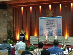 Pemerintah Tawarkan Kawasan Industri di Papua Barat ke Swasta