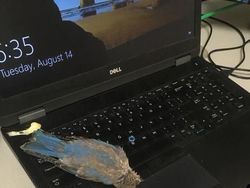 Potret Viral Kesialan Tak Terduga, Miris dan Kocak