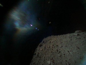 Sains Terpopuler Sepekan: Asteroid Tabrak Bumi Sampai Tikus Bedah Mangsa